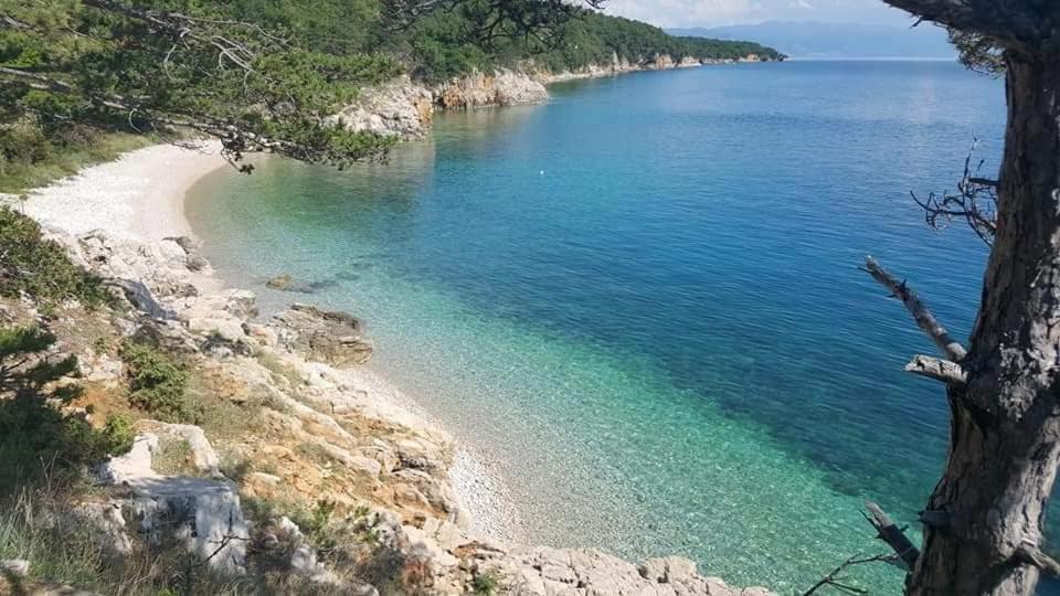 Apartments Adriatic Селце Екстер'єр фото